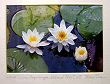 Art from the West Orange office of A T.E.A.M. Approach Physical Therapy Center