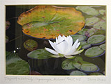 Art from the West Orange office of A T.E.A.M. Approach Physical Therapy Center